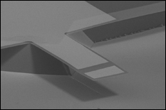 Scanning electron micrograph (SEM) of fabricated microcantilever biosensor used for the detection of DNA molecules.