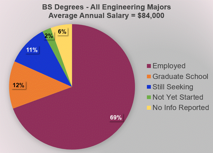 Pie Graph for all Engineering Majors