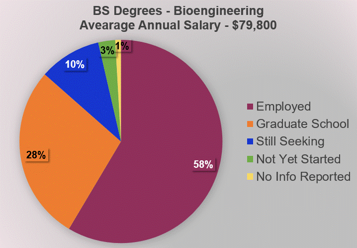 2023 Pie Chart for Bioengineering Degree Outcomes