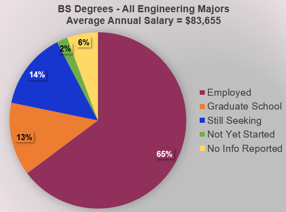 Pie chart of engineering BS degrees