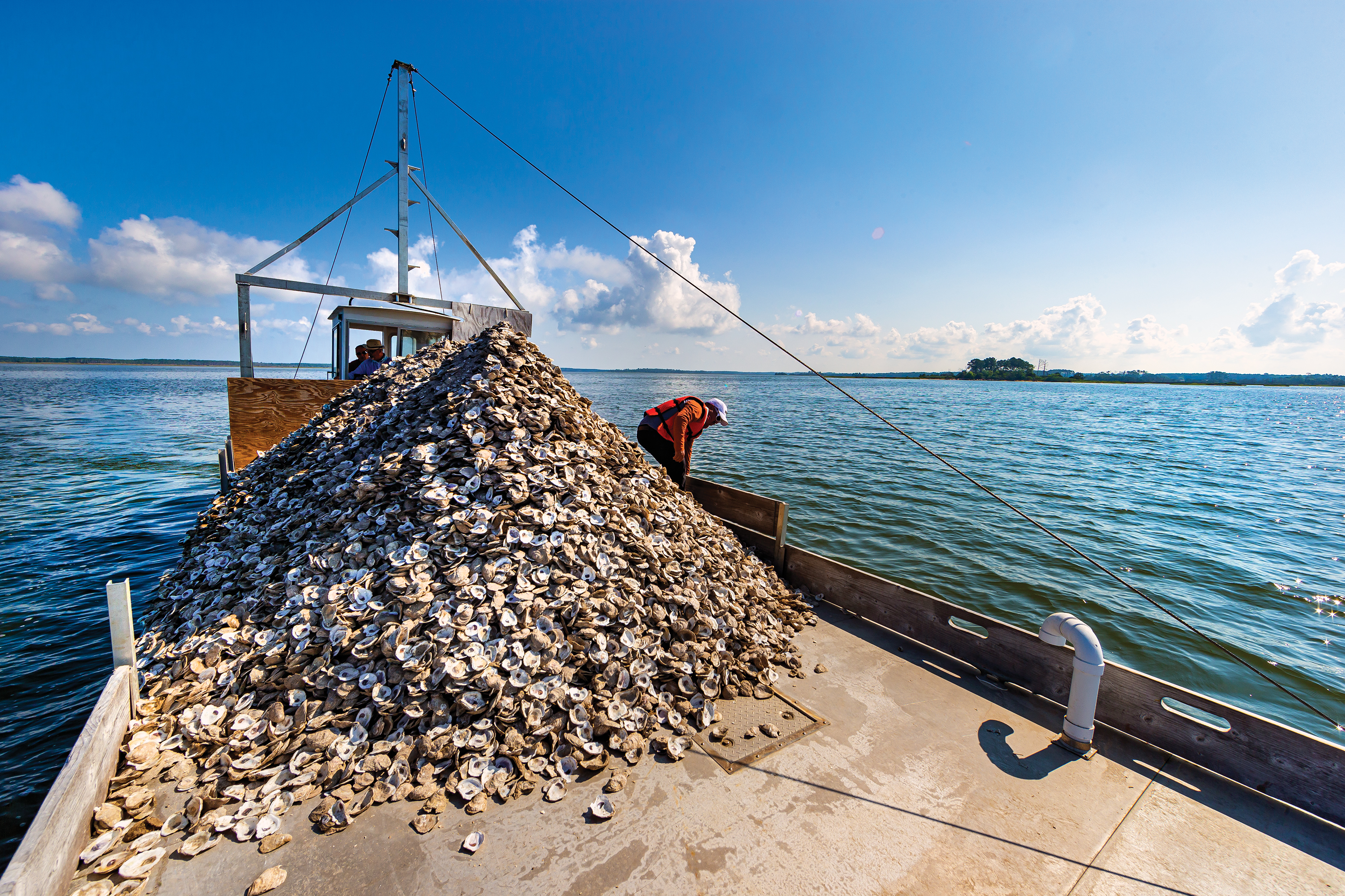 A boat deck with a large pile of oyster shells on it and a fisherman leaning over the edge and looking into the water