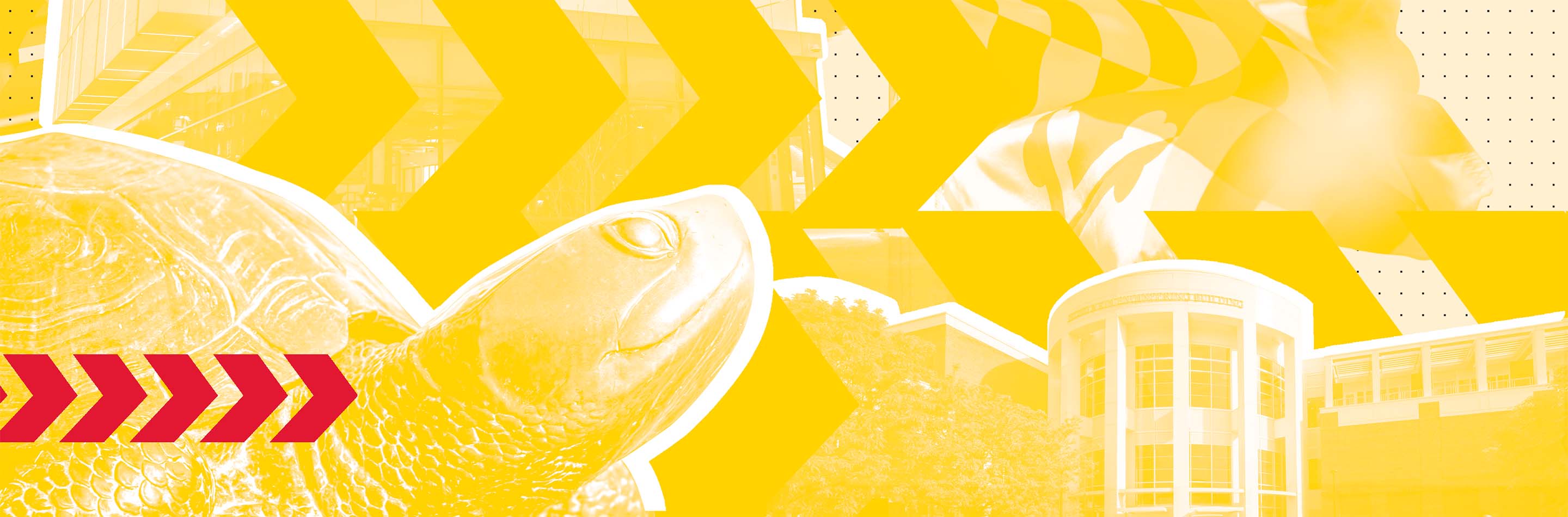 Testudo, Maryland state flag, Kim Engineering Building, and IDEA Factory tinted yellow
