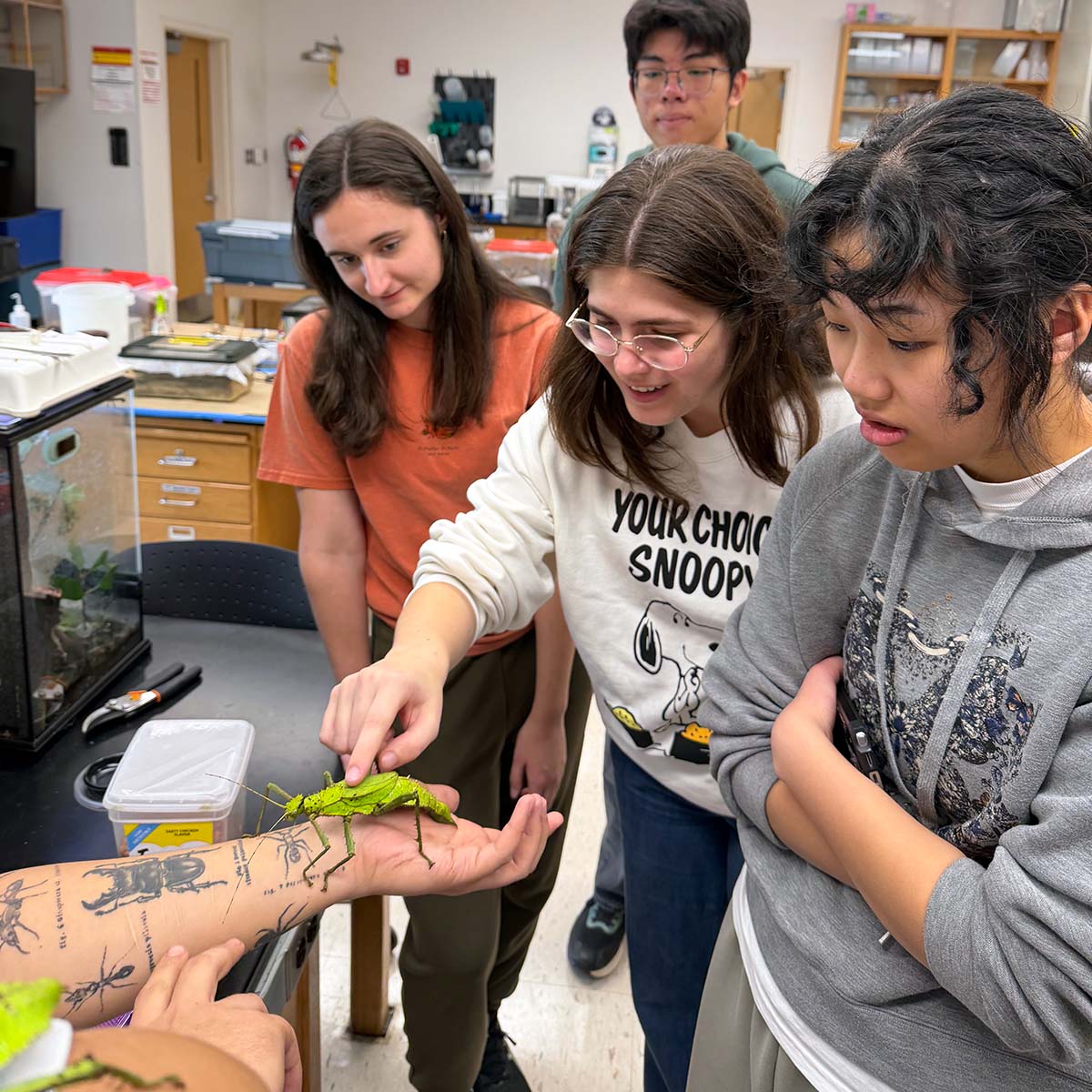 Students inspect a large green insect on Rho Ma's arm