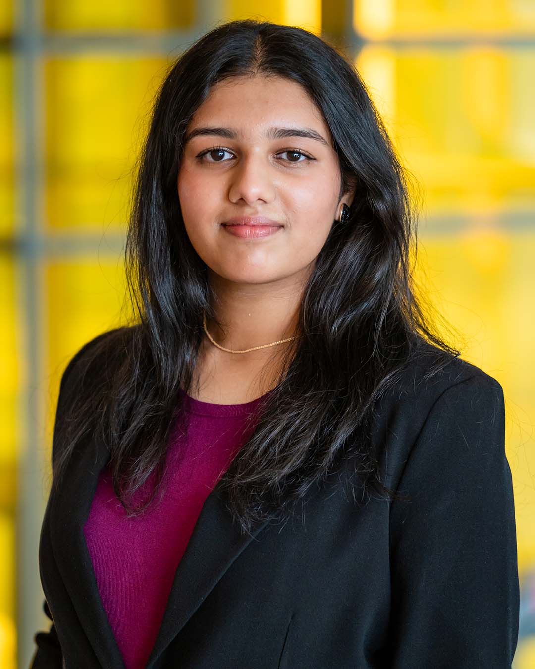 Headshot of Sabeen Malik